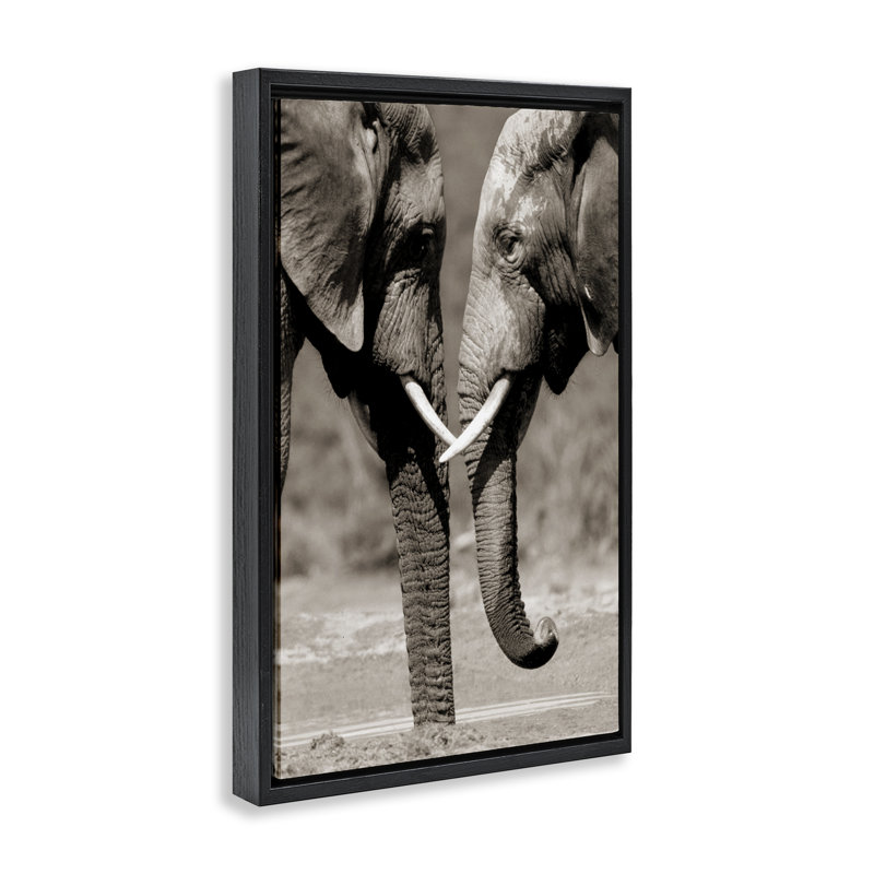 Paire d'éléphants réconfortants, Cadre flottant noir de jais, H 25 po x l 17 po