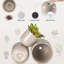 HDHPOT Ceramic Pot Planter-1607730067