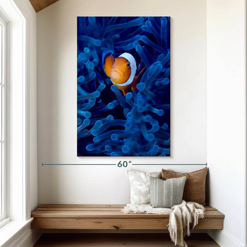 Brampt Blue Anemone Clownfish, 51" H x 34" W