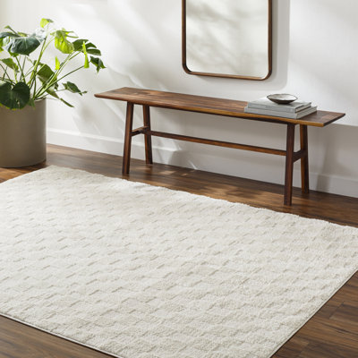 Aalisha Machine Woven Polyester Area Rug in Cream/Beige