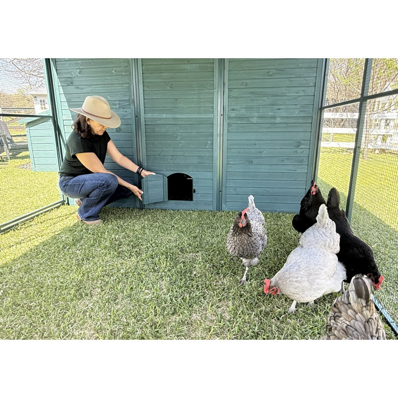 Modern Ultraguard Xl Metal Framed Chicken Coop - Teal