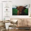 Gros plan sur une vache Brampt Highland-107713660