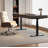 Electric Sit Stand Desk with Dual Motor and Three Drawers-1734001612