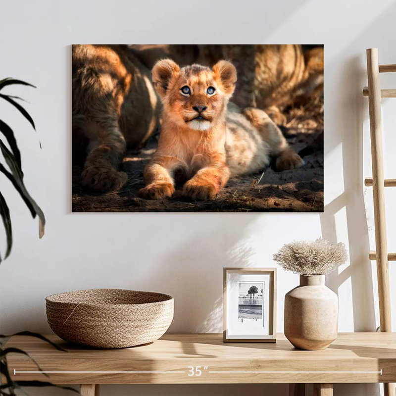 Lion safari Brampt, H 16 po x l 24 po