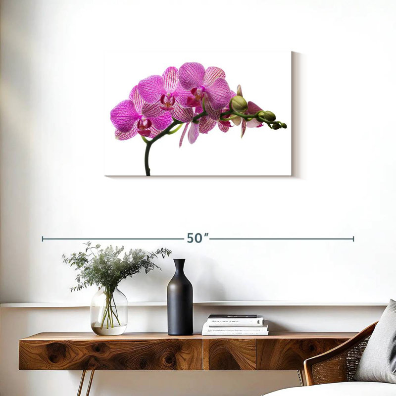 Harnek Fresh Orchid Flowers