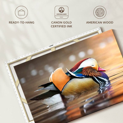 Crowle - adorable canard mandarin