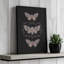 Reproduction d'art sur toile Taxidermy-1901357465-1901357464