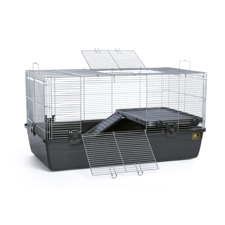 Tucker Murphy Pet™ Knox Hanging Bird Cage with Removable Tray & Reviews -  Wayfair Canada