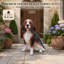 Statue de jardin en résine pour chien 16,9 po Basset Hound, peint à la main