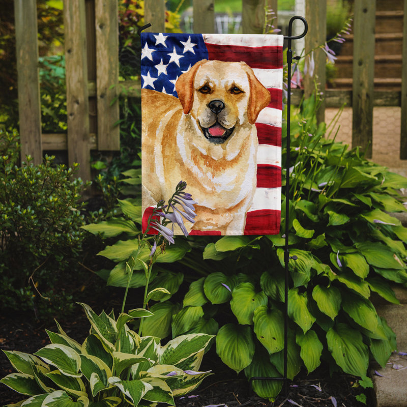2 côtés en polyester de 2 côtés american drapeau de jardin, Chien de Rhodésie à crête dorsale