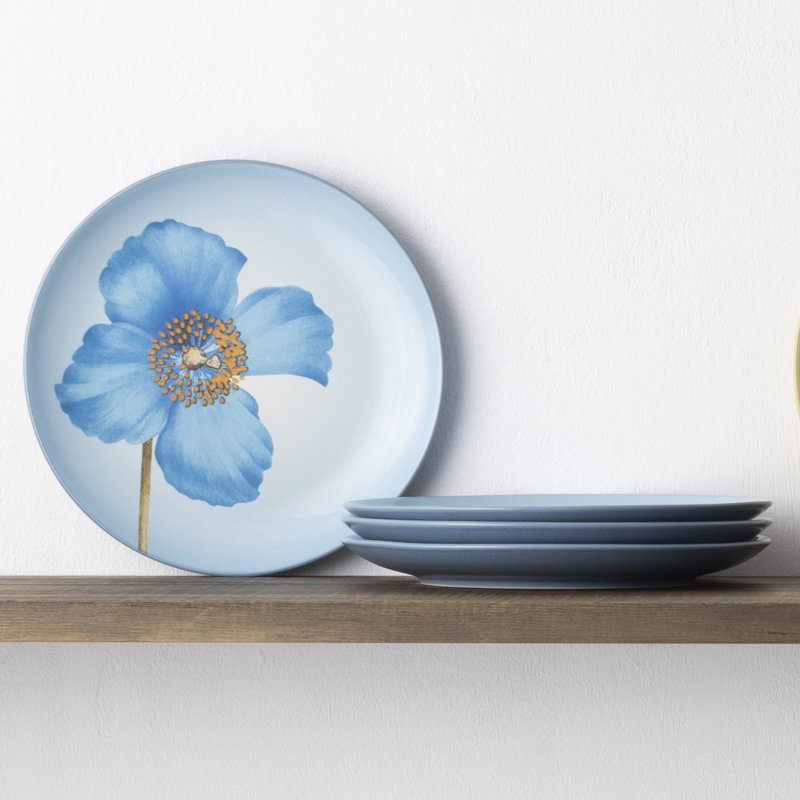 Assiettes décoratives Noritake Colorwave, 8 1/4 po, Glace