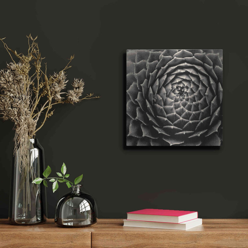 «Succulent» par Gary Horsfall, H 12 po x l 12 po