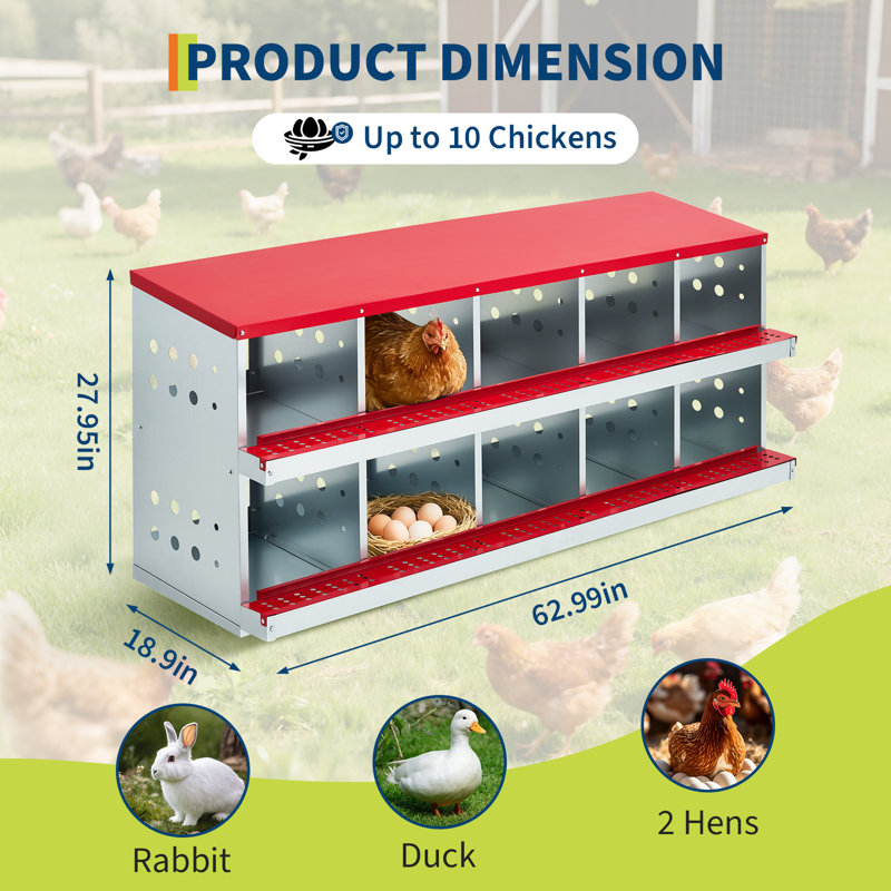 Boîte de nidification à 10 compartiments pour poulets, boîte de ponte en acier galvanisé robuste pour poules poules, nichoirs antirouille avec couvercle 62,99 po x l 18,9 po x H 27,95 po rouge