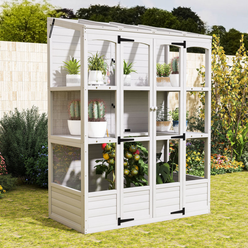 78-inch Walk-in Wood Greenhouse with 4 Skylights, 2 Folding Shelves, Anti-Fall Protection, White