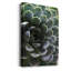 Zen Succulent I - reproduction de photo sur toile tendue-770646801