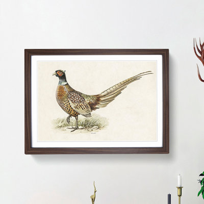 Ring-Necked Pheasant by Von Wright - Picture Frame Painting Print
