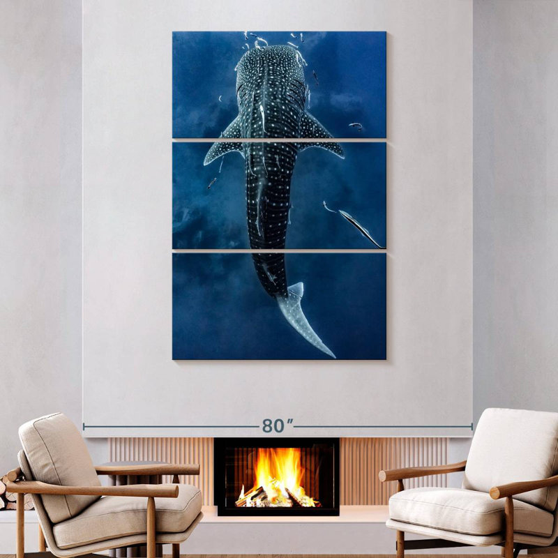 Brampt Spotted Whale Shark