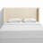 Stickland Upholstered Headboard-484258458-432184859