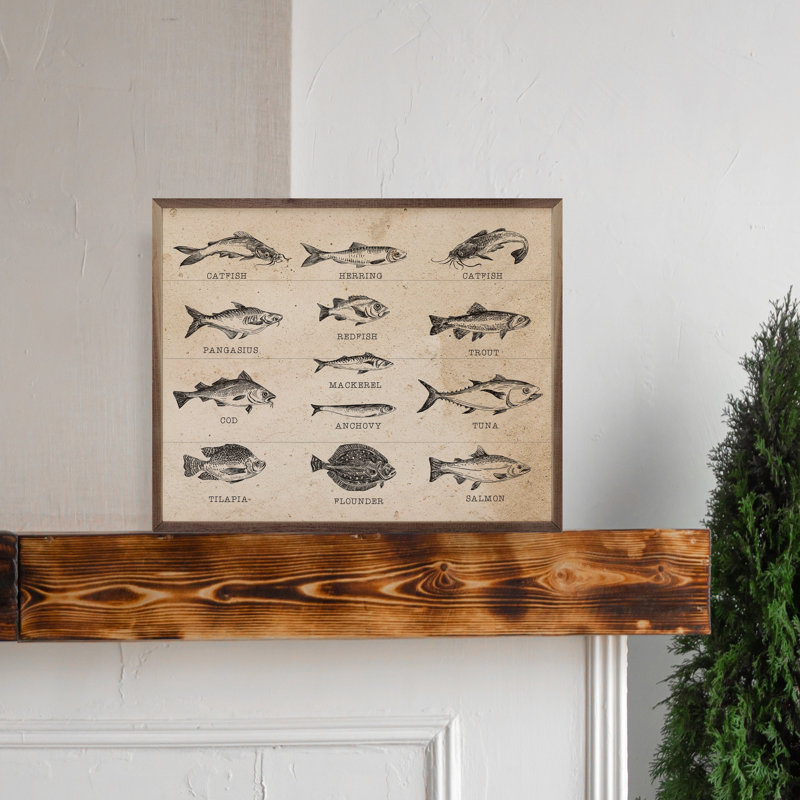Fish Species, 16" H x 20" W