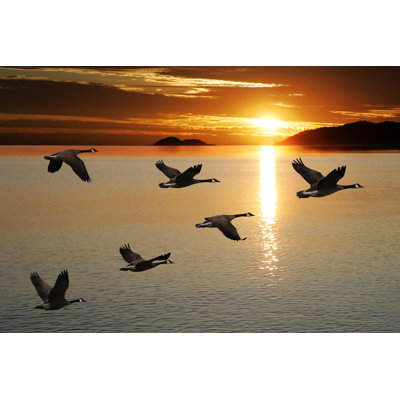 Migrating Canada Geese - Wrapped Canvas Print