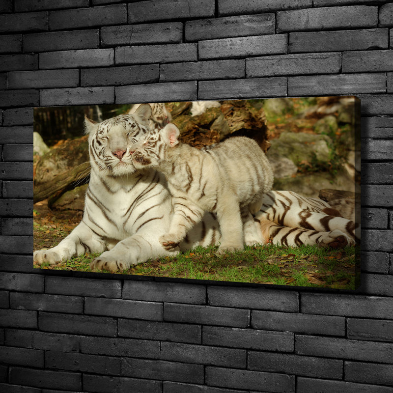 Tigers - No Frame Print on Canvas