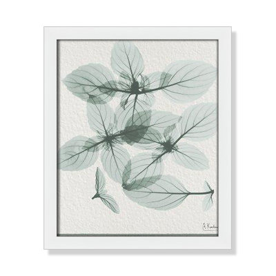 Jeanette "Basil Ocimum Basilicum" Painting