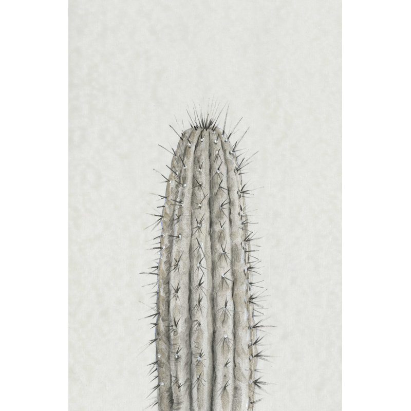 Cactus Study III, H 12 po x l 8 po