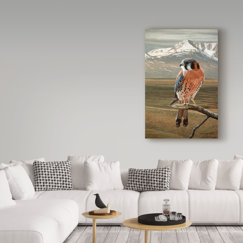 «American Kestrel» par Etelca, impression sur toile tendue, H 19 po x l 12 po x P 2 po