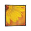 « tournesol ii », reproduction d’impression sur toile-29483533-73558859-73558863
