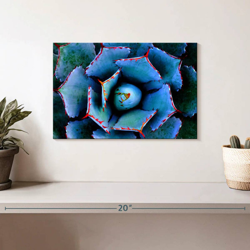 Harnek Red Lined Succulent, 8" H x 12" W