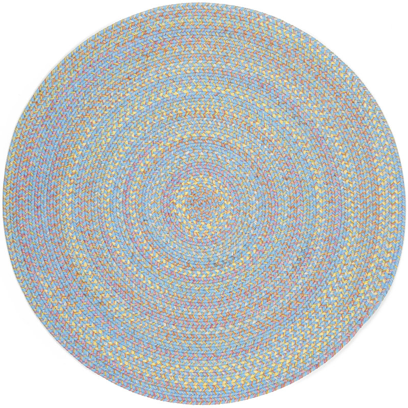 Tapis d'intérieur / extérieur multicolore tressé à la main Berklee, Rond 8 pi