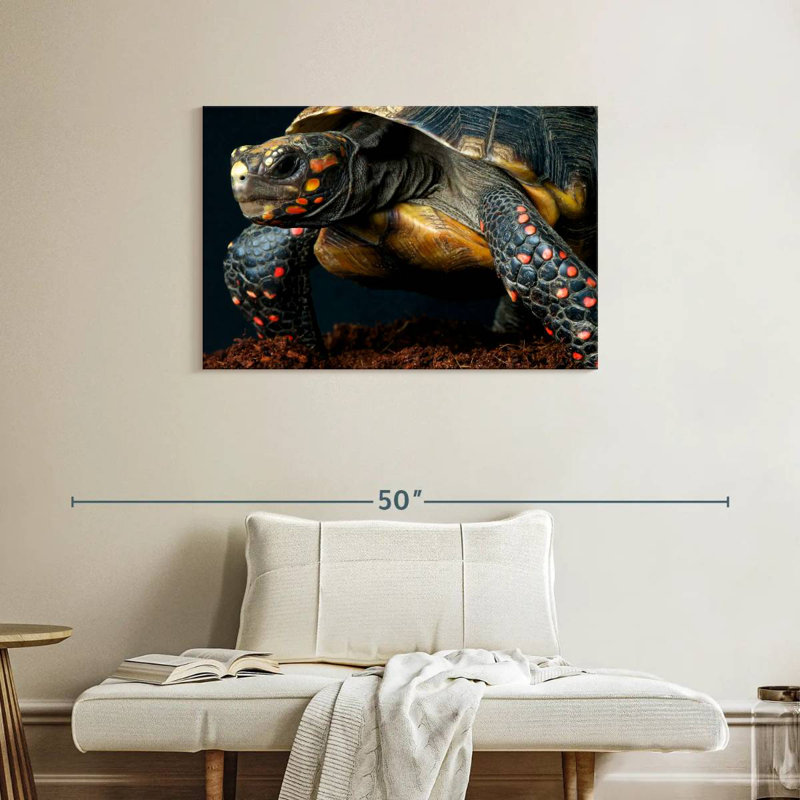 Brampt Amazon Red Footed Tortoise, 24" H x 36" W