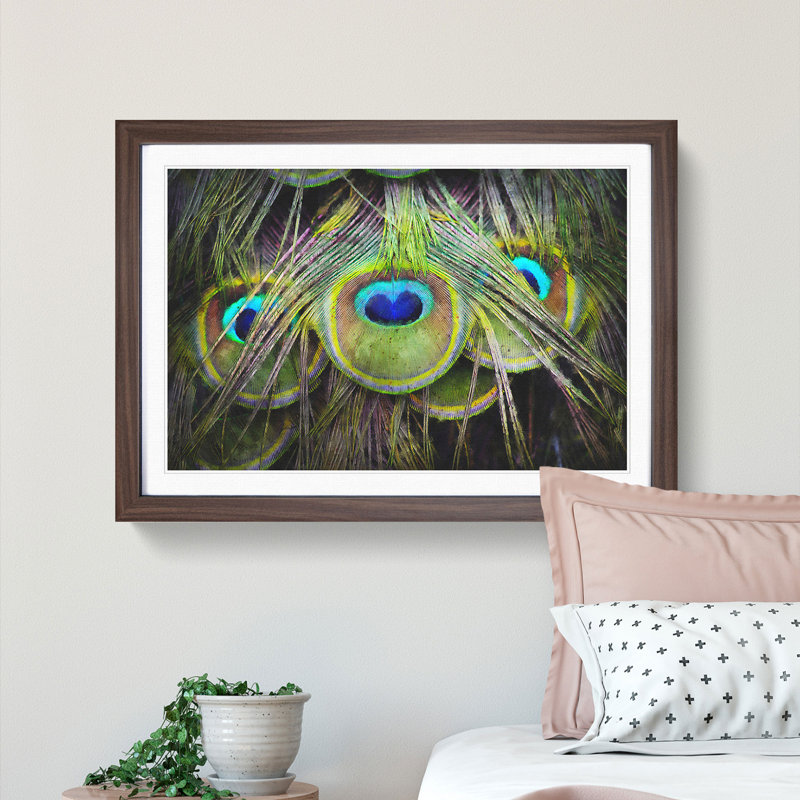 Peacock Feathers - Picture Frame Graphic Art Print, 62cm H x 87cm W x 2cm D, Walnut