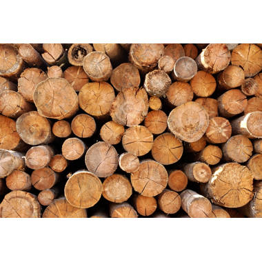 Millwood Pines Stack Of Firewood On Canvas Painting