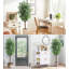 Arrangement