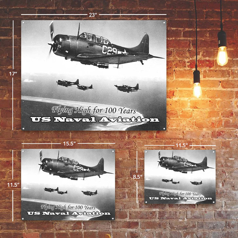 Naval Aviation Flying On Metal Print