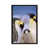Black Framed is unavailable