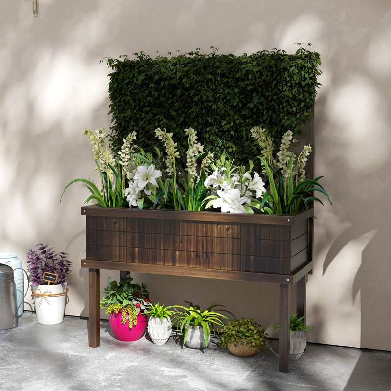 Lit de jardin surélevé pour plantes en plein essor et belles cours
