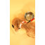 Mangeoire pour animaux Keaton-99366361-116863708