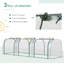 Annedoris 9.67 Ft W x 3.2 Ft D Mini Greenhouse-366172971