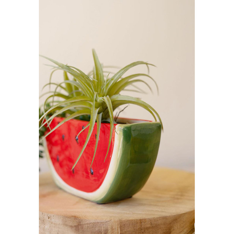 Pot à fleurs en céramique en forme de melon d'eau - H 4 po