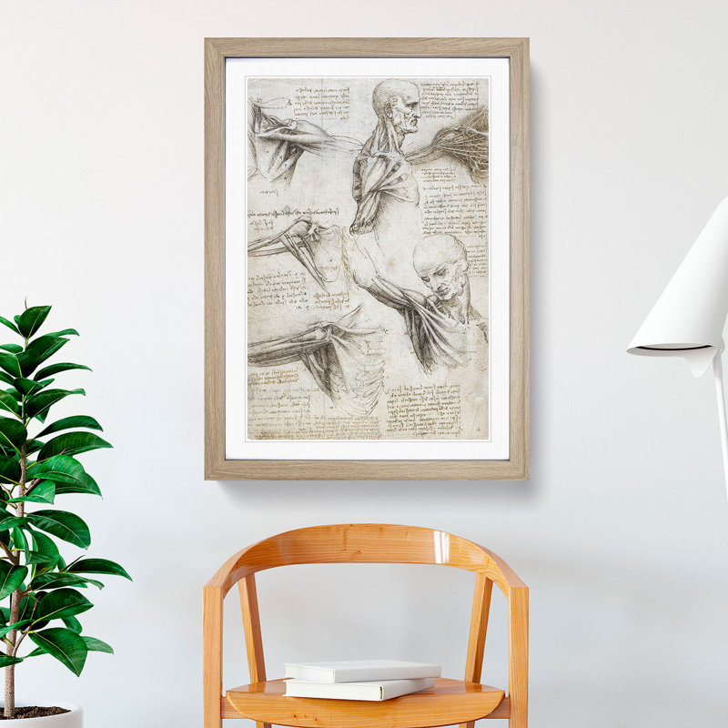 Human Anatomy Vol.3 by Leonardo Da Vinci - Framed Print, Oak Framed, 48cm H x 36cm W x 2cm D