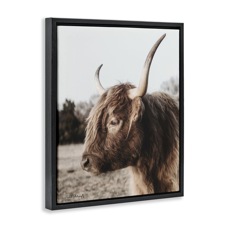 Horned Cattle Peering Floating Frame, design by Dakota Diener, Jet Black Floater Frame, 31" H x 25" W