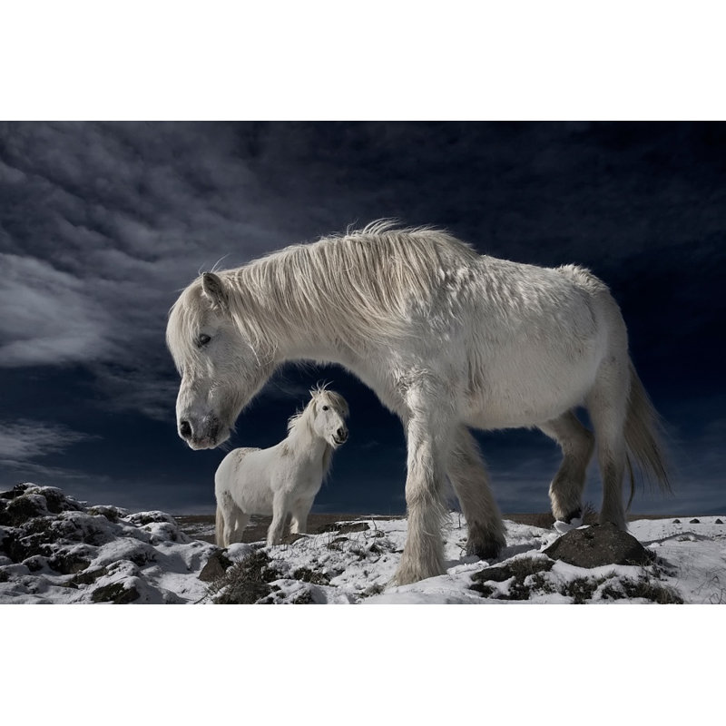 Wrapped Canvas Print, 50.8 cm H x 76.2 cm W