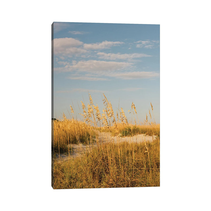 Hilton Head Island II by Bethany Young - Print on Canvas, 45.72cm H x 30.48cm W x 1.91cm D, Wrapped Canvas