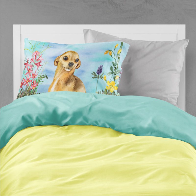 Alaskan Microfiber, Chihuahua