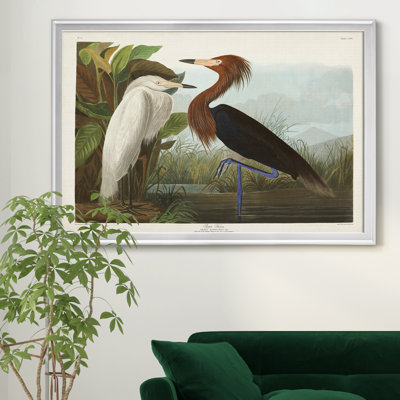 Héron mauve - reproduction d'art sur toile