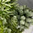 Digby Artificial Plant in White Pot Set