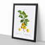 Apricot Tree Branch by Pierre-Joseph Redoute - Single Picture Frame Painting-55544970-55544967