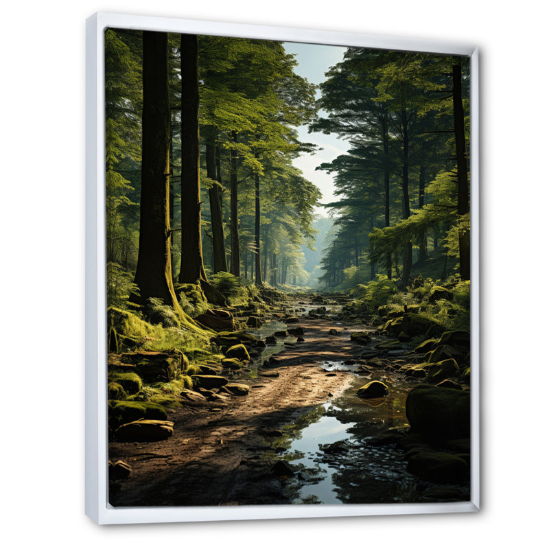 «Forest Enchanted Woods Earthy», impressions sur toile, Cadre flottant blanc, H 32 po x l 24 po x P 1 po